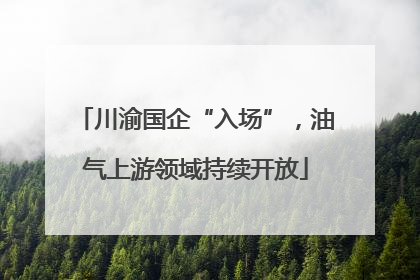 川渝国企“入场”，油气上游领域持续开放