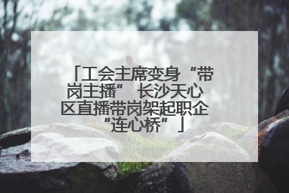 工会主席变身“带岗主播” 长沙天心区直播带岗架起职企“连心桥”