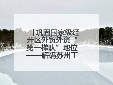 巩固国家级经开区外贸外资“第一梯队”地位——解码苏州工业园区样本