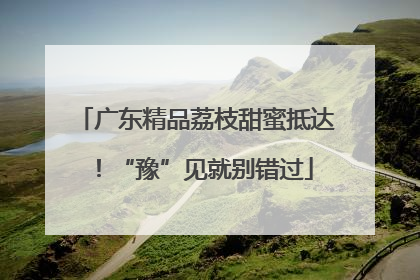 广东精品荔枝甜蜜抵达！“豫”见就别错过