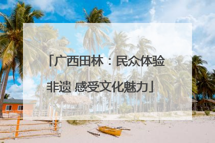 广西田林：民众体验非遗 感受文化魅力