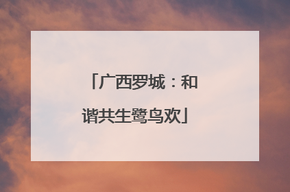 广西罗城：和谐共生鹭鸟欢