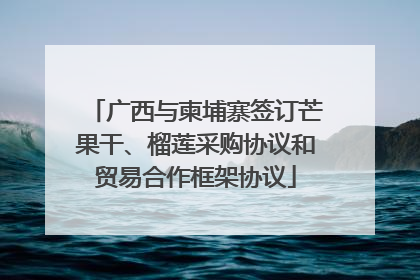 广西与柬埔寨签订芒果干、榴莲采购协议和贸易合作框架协议