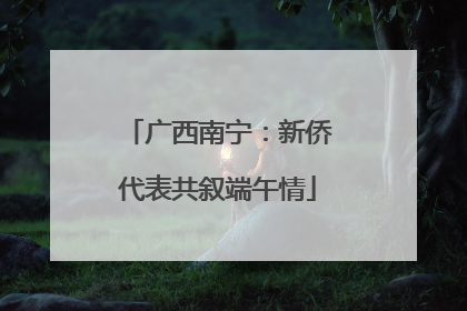 广西南宁：新侨代表共叙端午情