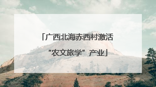 广西北海赤西村激活“农文旅学”产业