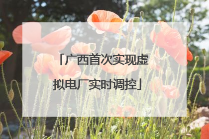 广西首次实现虚拟电厂实时调控