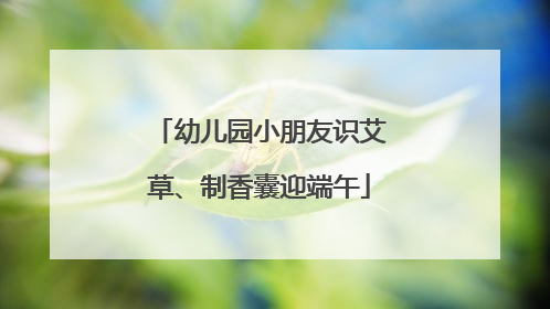 幼儿园小朋友识艾草、制香囊迎端午