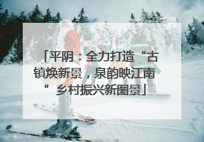 平阴：全力打造“古镇焕新景，泉韵映江南”乡村振兴新图景