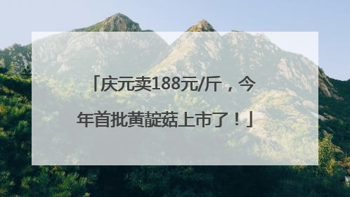 庆元卖188元/斤，今年首批黄靛菇上市了！