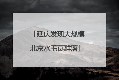 延庆发现大规模北京水毛茛群落