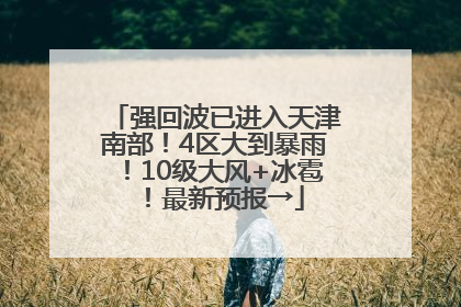 强回波已进入天津南部！4区大到暴雨！10级大风+冰雹！最新预报→