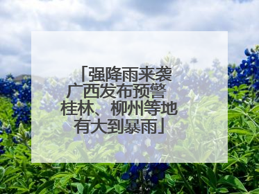 强降雨来袭 广西发布预警 桂林、柳州等地有大到暴雨