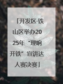开发区·铁山区举办2025年“理响开铁”宣讲达人赛决赛