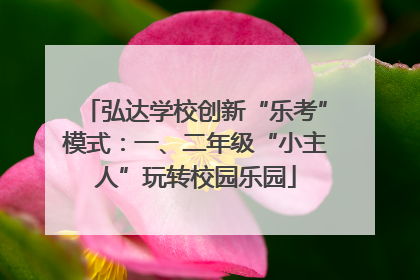 弘达学校创新“乐考”模式：一、二年级“小主人”玩转校园乐园