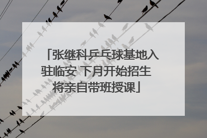 张继科乒乓球基地入驻临安 下月开始招生将亲自带班授课