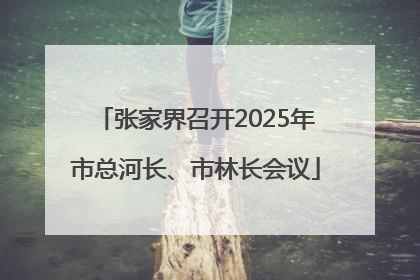 张家界召开2025年市总河长、市林长会议