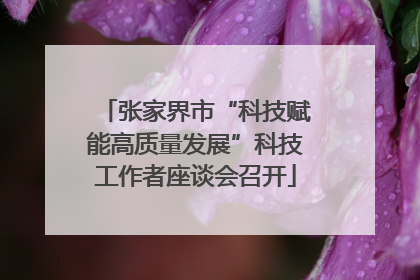 张家界市“科技赋能高质量发展”科技工作者座谈会召开