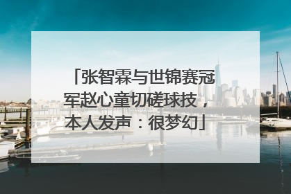 张智霖与世锦赛冠军赵心童切磋球技，本人发声：很梦幻