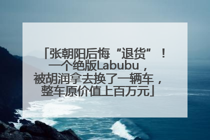 张朝阳后悔“退货”！一个绝版Labubu，被胡润拿去换了一辆车，整车原价值上百万元