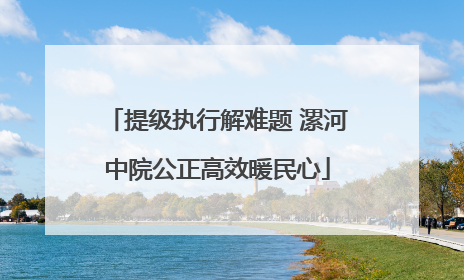 提级执行解难题 漯河中院公正高效暖民心