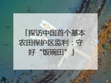 探访中国首个基本农田保护区监利：守好“饭碗田”