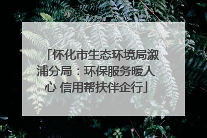 怀化市生态环境局溆浦分局：环保服务暖人心 信用帮扶伴企行