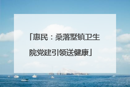 惠民：桑落墅镇卫生院党建引领送健康