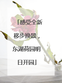 感受全新移步换景，东湖荷园明日开园