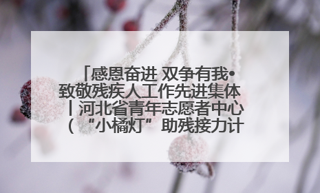 感恩奋进 双争有我•致敬残疾人工作先进集体丨河北省青年志愿者中心（“小橘灯”助残接力计划实施团队）：用温暖陪伴，守护特殊孩子成长