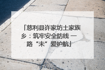 慈利县许家坊土家族乡：筑牢安全防线 一路“未”爱护航