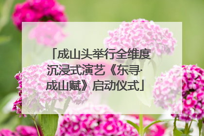 成山头举行全维度沉浸式演艺《东寻·成山赋》启动仪式