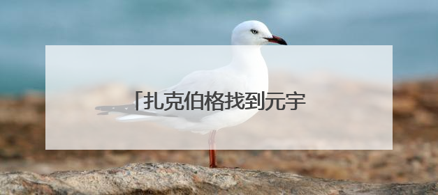 扎克伯格找到元宇宙“杀手级”应用