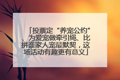 投票定“养宠公约”、为爱宠做牵引绳、比拼谁家人宠最默契，这场活动有趣更有意义
