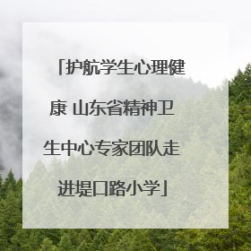 护航学生心理健康 山东省精神卫生中心专家团队走进堤口路小学