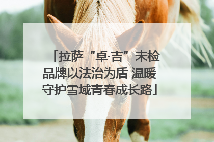 拉萨“卓·吉”未检品牌以法治为盾 温暖守护雪域青春成长路