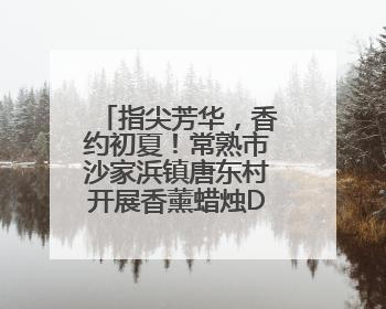 指尖芳华，香约初夏！常熟市沙家浜镇唐东村开展香薰蜡烛DIY活动