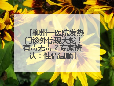柳州一医院发热门诊外惊现大蛇！有毒无毒？专家辨认：性情温顺