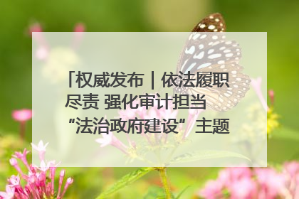 权威发布｜依法履职尽责 强化审计担当 “法治政府建设”主题系列新闻发布会市审计局专场召开