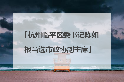杭州临平区委书记陈如根当选市政协副主席
