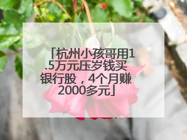 杭州小孩哥用1.5万元压岁钱买银行股，4个月赚2000多元