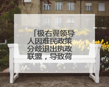 极右翼领导人因难民政策分歧退出执政联盟，导致荷兰政府垮台