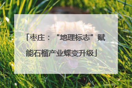 枣庄：“地理标志”赋能石榴产业蝶变升级
