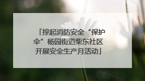 撑起消防安全“保护伞”杨园街道柴东社区开展安全生产月活动
