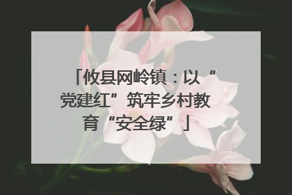 攸县网岭镇：以“党建红”筑牢乡村教育“安全绿”