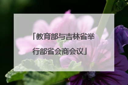 教育部与吉林省举行部省会商会议