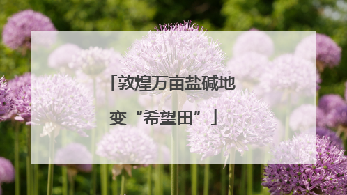 敦煌万亩盐碱地变“希望田”
