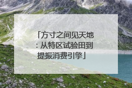 方寸之间见天地：从特区试验田到提振消费引擎