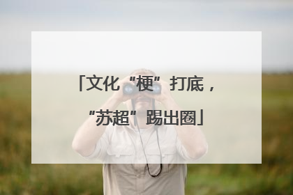 文化“梗”打底，“苏超”踢出圈