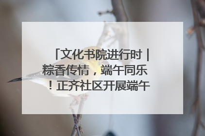 文化书院进行时｜粽香传情，端午同乐！正齐社区开展端午包粽子大赛