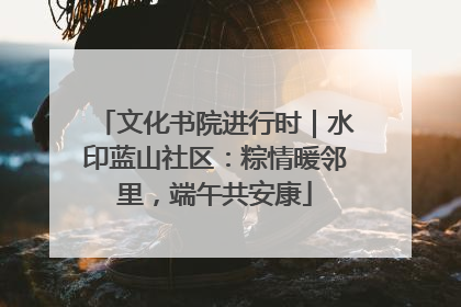 文化书院进行时｜水印蓝山社区：粽情暖邻里，端午共安康